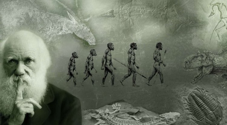 Humans did not descend from apes: What Darwin's theory of evolution actually says