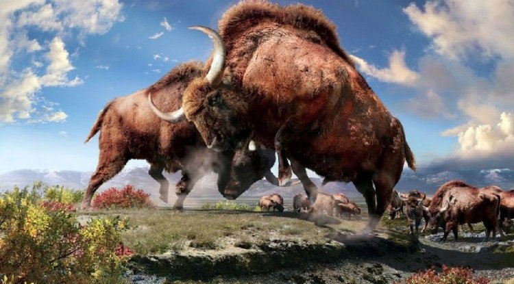 Scientists are going to clone a bison found in permafrost