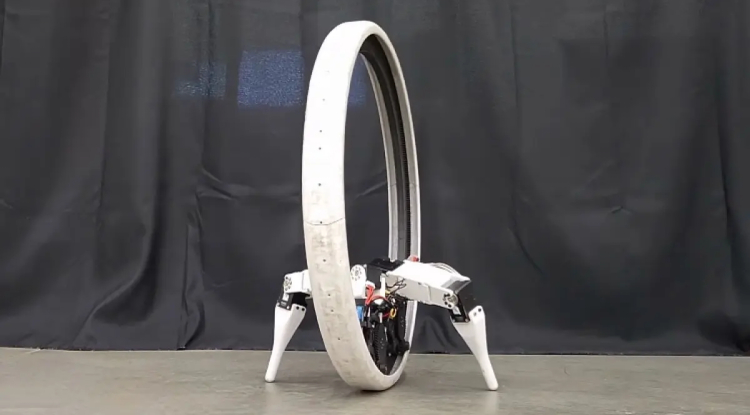 Scientists from the USA have created a two-legged robot unicycle Ringbot