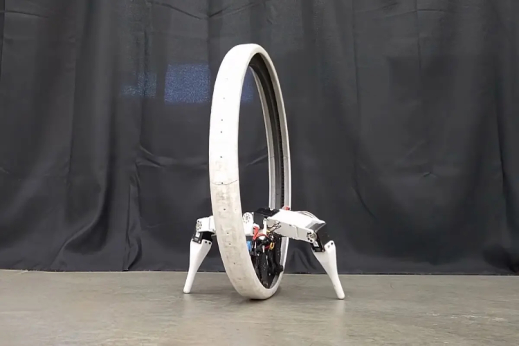 Scientists from the USA have created a two-legged robot unicycle Ringbot