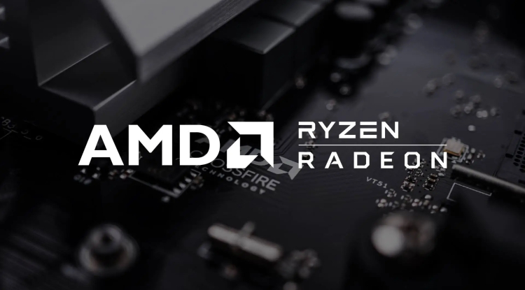 AMD's revenue from the sale of video chips fell by 48%