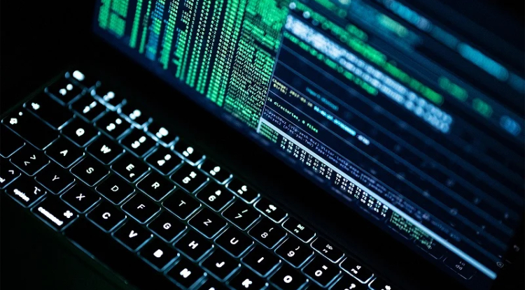 Botnet attacks increase by 34% in a year