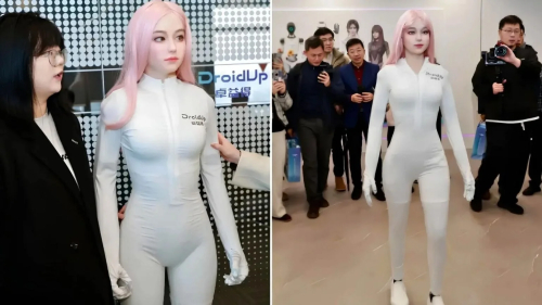 A fully biomimetic intelligent robot has been unveiled in China